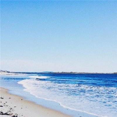 leyu乐鱼·体育手机app下载