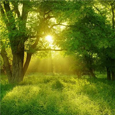 腾讯分分下载手机版